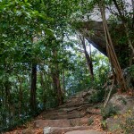 path to Pidurangala